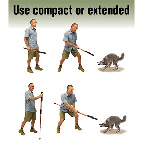 Word Hike Safety protector [ Answer ] .